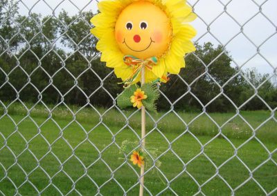 Sunflower on fence at KCOOTP 2011