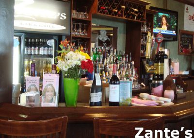 Team Shan Fundraiser at Zante's Bar & Grill