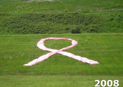 Big Pink Ribbon on the grass at KCOOTP 2008